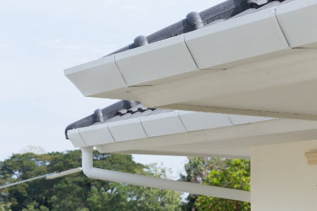 What Jackson Homeowners Should Know About Gutter Cleaning